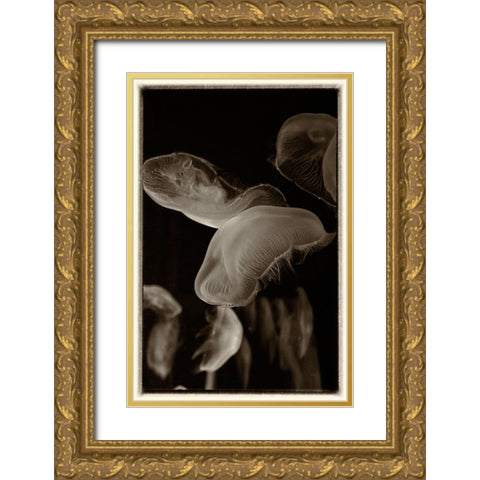 Antique Jellies 3 Gold Ornate Wood Framed Art Print with Double Matting by Lee, Rachel