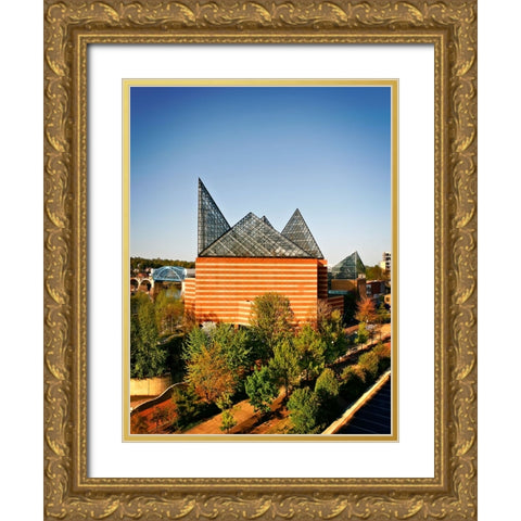 Aquarium From Above Gold Ornate Wood Framed Art Print with Double Matting by Lee, Rachel