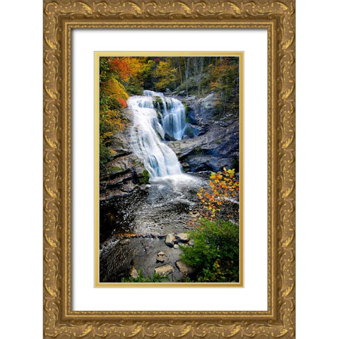 Bald River Falls Gold Ornate Wood Framed Art Print with Double Matting by Lee, Rachel