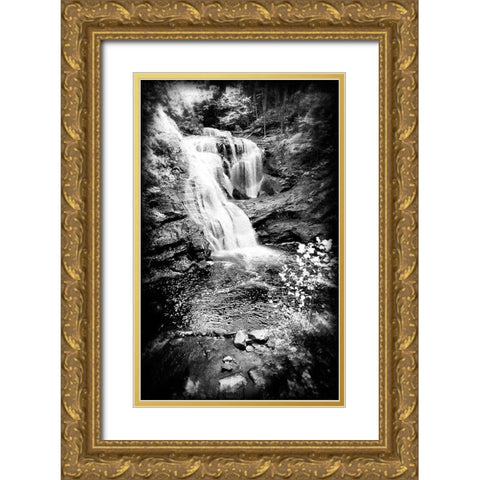 Bald River Falls Holga Gold Ornate Wood Framed Art Print with Double Matting by Lee, Rachel
