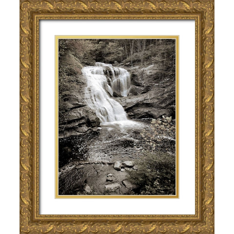 Bald River Falls Sepia Gold Ornate Wood Framed Art Print with Double Matting by Lee, Rachel