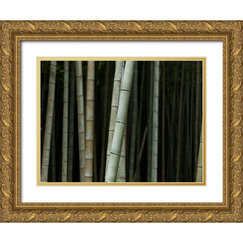 Bamboo Gold Ornate Wood Framed Art Print with Double Matting by Lee, Rachel