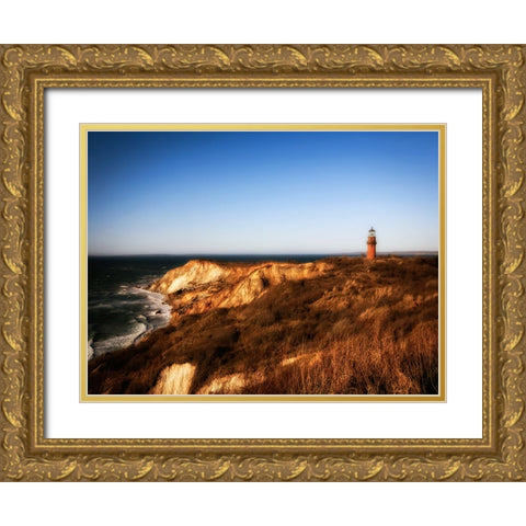 Beach 11 Gold Ornate Wood Framed Art Print with Double Matting by Lee, Rachel