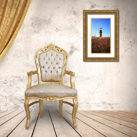 Beach 12 Gold Ornate Wood Framed Art Print with Double Matting by Lee, Rachel