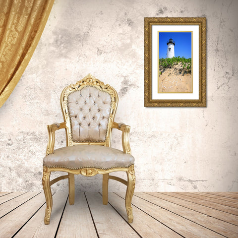 Beach 18 Gold Ornate Wood Framed Art Print with Double Matting by Lee, Rachel
