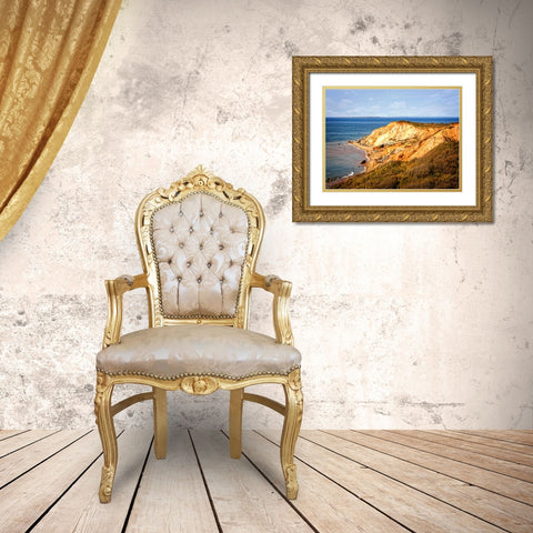 Beach 19 Gold Ornate Wood Framed Art Print with Double Matting by Lee, Rachel