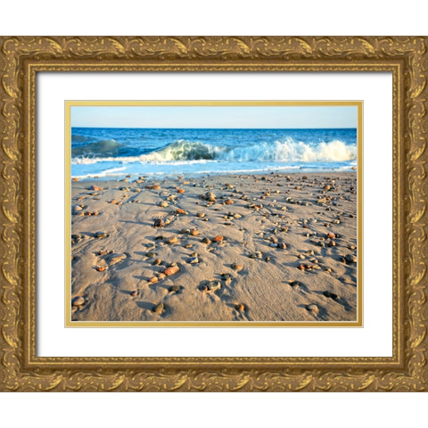 Beach 21 Gold Ornate Wood Framed Art Print with Double Matting by Lee, Rachel