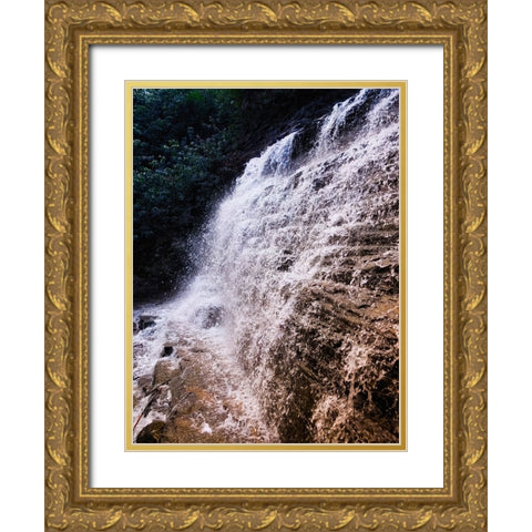 Benton Falls 3 Gold Ornate Wood Framed Art Print with Double Matting by Lee, Rachel