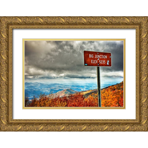 Big Junction Gold Ornate Wood Framed Art Print with Double Matting by Lee, Rachel