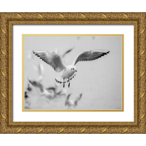 Bird 14 Gold Ornate Wood Framed Art Print with Double Matting by Lee, Rachel