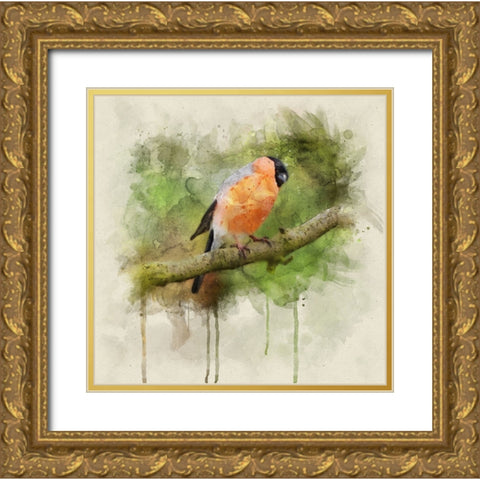 Bird 2 Watercolor Gold Ornate Wood Framed Art Print with Double Matting by Lee, Rachel