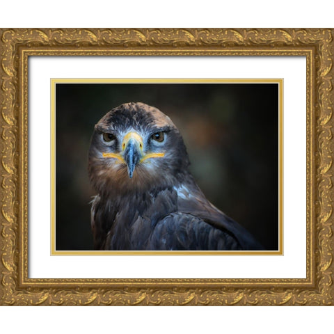 Bird 20 Gold Ornate Wood Framed Art Print with Double Matting by Lee, Rachel
