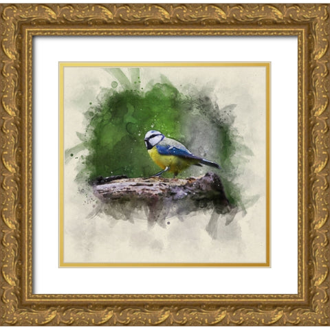 Bird 22 Watercolor Gold Ornate Wood Framed Art Print with Double Matting by Lee, Rachel