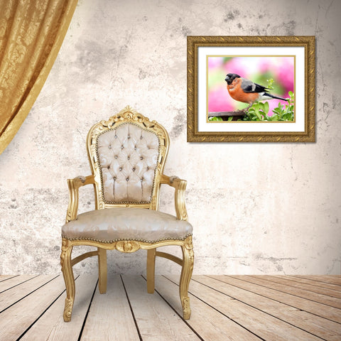 Bird 23 Gold Ornate Wood Framed Art Print with Double Matting by Lee, Rachel