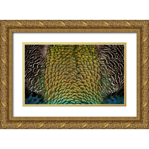 Bird 28 Gold Ornate Wood Framed Art Print with Double Matting by Lee, Rachel