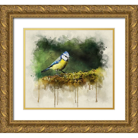 Bird 3 Watercolor Gold Ornate Wood Framed Art Print with Double Matting by Lee, Rachel