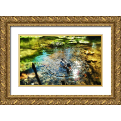 Bird 34 Gold Ornate Wood Framed Art Print with Double Matting by Lee, Rachel
