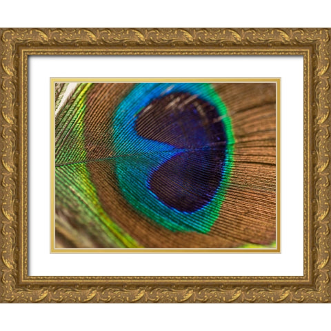 Bird 43 Gold Ornate Wood Framed Art Print with Double Matting by Lee, Rachel