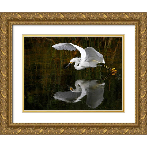 Bird 46 Gold Ornate Wood Framed Art Print with Double Matting by Lee, Rachel