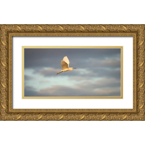 Bird 49 Gold Ornate Wood Framed Art Print with Double Matting by Lee, Rachel