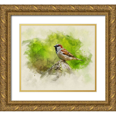 Bird 5 Watercolor Gold Ornate Wood Framed Art Print with Double Matting by Lee, Rachel