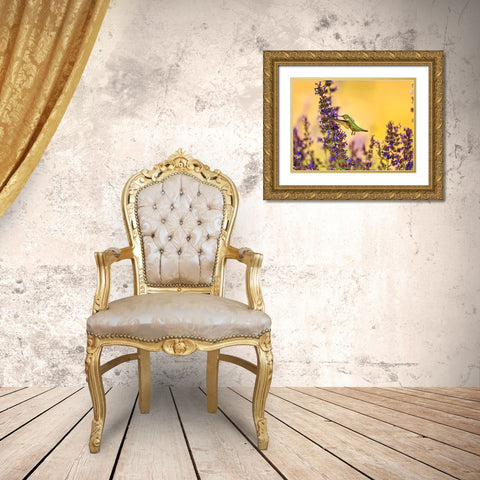 Bird 50 Gold Ornate Wood Framed Art Print with Double Matting by Lee, Rachel