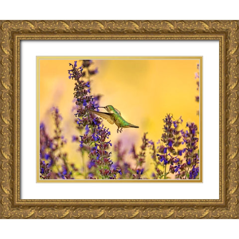 Bird 50 Gold Ornate Wood Framed Art Print with Double Matting by Lee, Rachel
