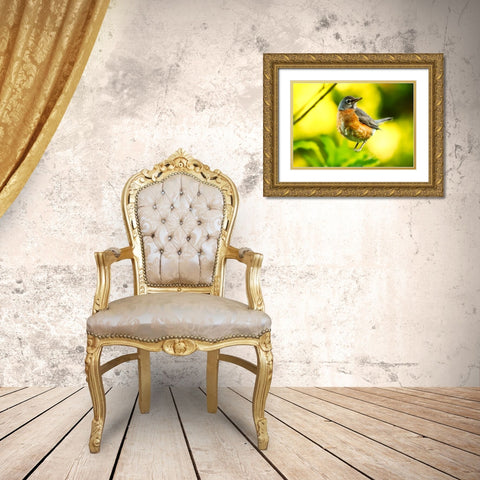 Bird 52 Gold Ornate Wood Framed Art Print with Double Matting by Lee, Rachel