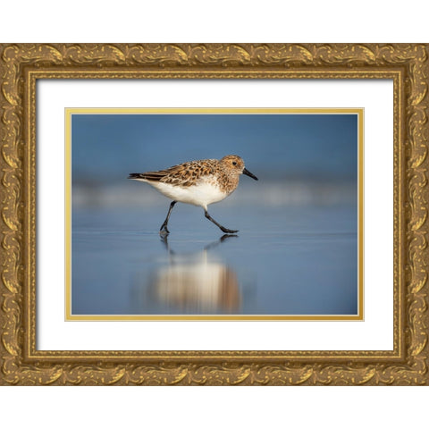 Bird 55 Gold Ornate Wood Framed Art Print with Double Matting by Lee, Rachel