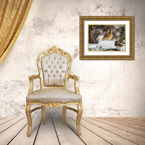 Bird 64 Gold Ornate Wood Framed Art Print with Double Matting by Lee, Rachel