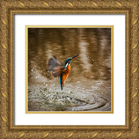 Bird 8 Gold Ornate Wood Framed Art Print with Double Matting by Lee, Rachel