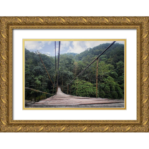 Bridge 2 Gold Ornate Wood Framed Art Print with Double Matting by Lee, Rachel