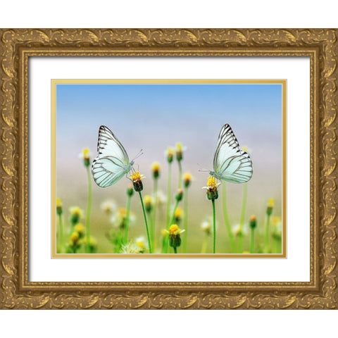 Butterfly 10 Gold Ornate Wood Framed Art Print with Double Matting by Lee, Rachel