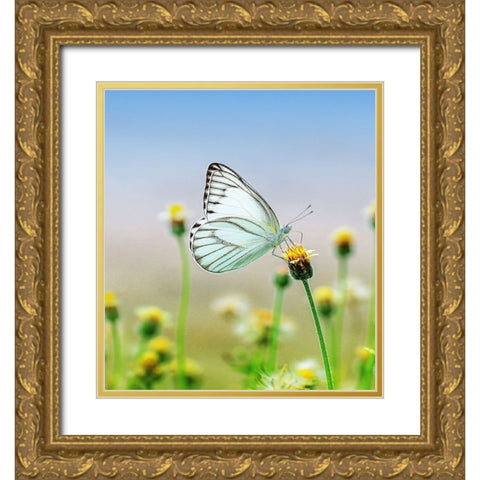 Butterfly 10 Dyptych Panel 1 Gold Ornate Wood Framed Art Print with Double Matting by Lee, Rachel