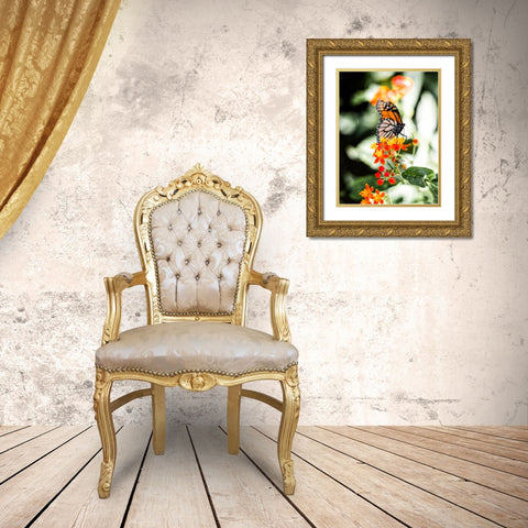 Butterfly 14 Gold Ornate Wood Framed Art Print with Double Matting by Lee, Rachel