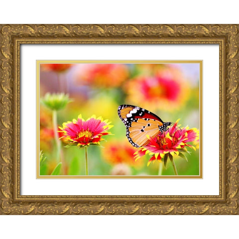 Butterfly 6 Gold Ornate Wood Framed Art Print with Double Matting by Lee, Rachel