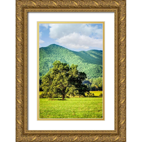 Cades Cove Tree Gold Ornate Wood Framed Art Print with Double Matting by Lee, Rachel