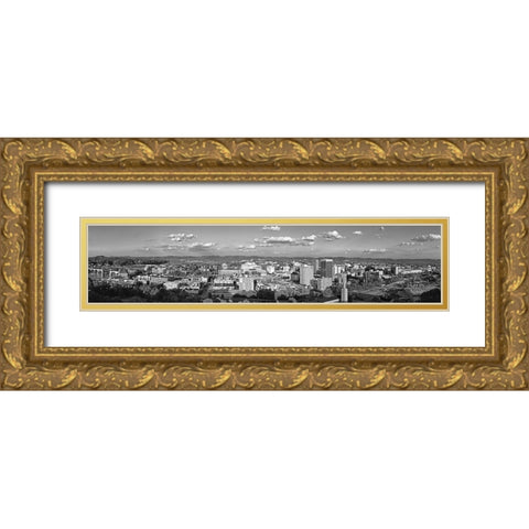 Cameron Hill View BW Gold Ornate Wood Framed Art Print with Double Matting by Lee, Rachel