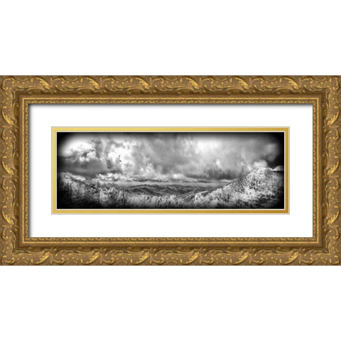 Cherohala Pano BW Holga Gold Ornate Wood Framed Art Print with Double Matting by Lee, Rachel