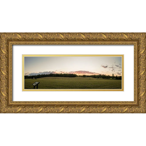 Chickamauga 14 Gold Ornate Wood Framed Art Print with Double Matting by Lee, Rachel