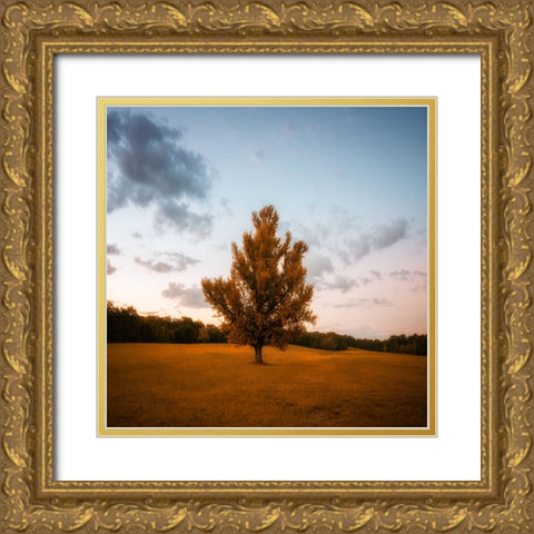 Chickamauga 15 Gold Ornate Wood Framed Art Print with Double Matting by Lee, Rachel