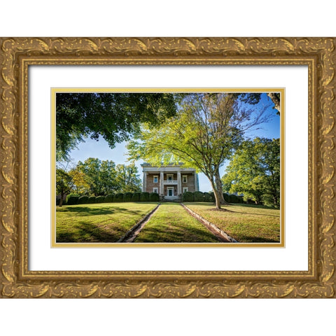 Chickamauga 19 Gold Ornate Wood Framed Art Print with Double Matting by Lee, Rachel