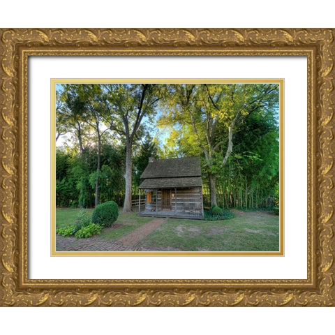 Chickamauga 21 Gold Ornate Wood Framed Art Print with Double Matting by Lee, Rachel