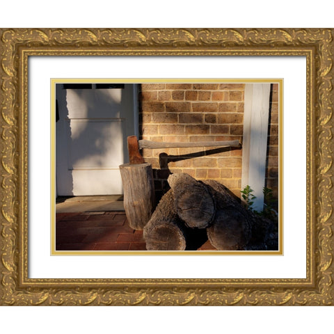 Chickamauga 23 Gold Ornate Wood Framed Art Print with Double Matting by Lee, Rachel