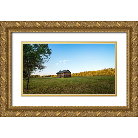 Chickamauga 3 Gold Ornate Wood Framed Art Print with Double Matting by Lee, Rachel