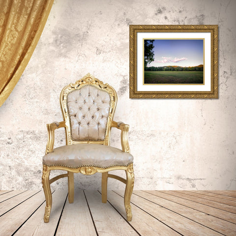 Chickamauga 7 Gold Ornate Wood Framed Art Print with Double Matting by Lee, Rachel