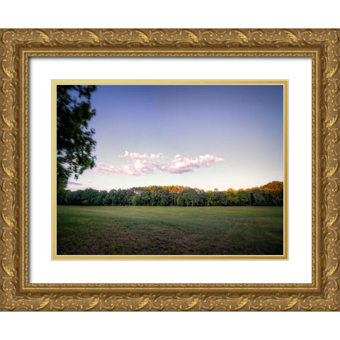 Chickamauga 7 Gold Ornate Wood Framed Art Print with Double Matting by Lee, Rachel