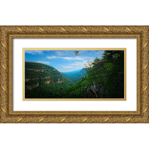 Cloudland Canyon Gold Ornate Wood Framed Art Print with Double Matting by Lee, Rachel