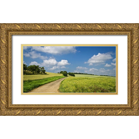 Country Road 20 Gold Ornate Wood Framed Art Print with Double Matting by Lee, Rachel