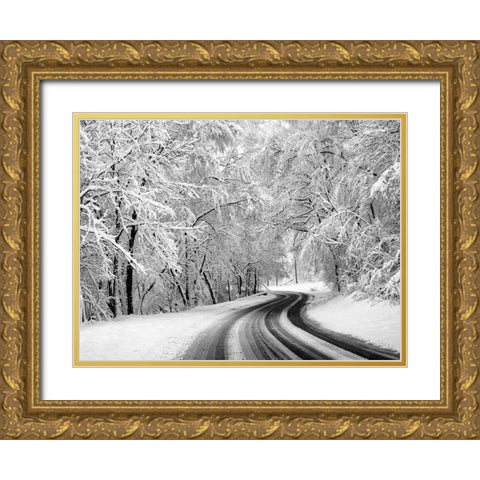 Country Road 23 Gold Ornate Wood Framed Art Print with Double Matting by Lee, Rachel